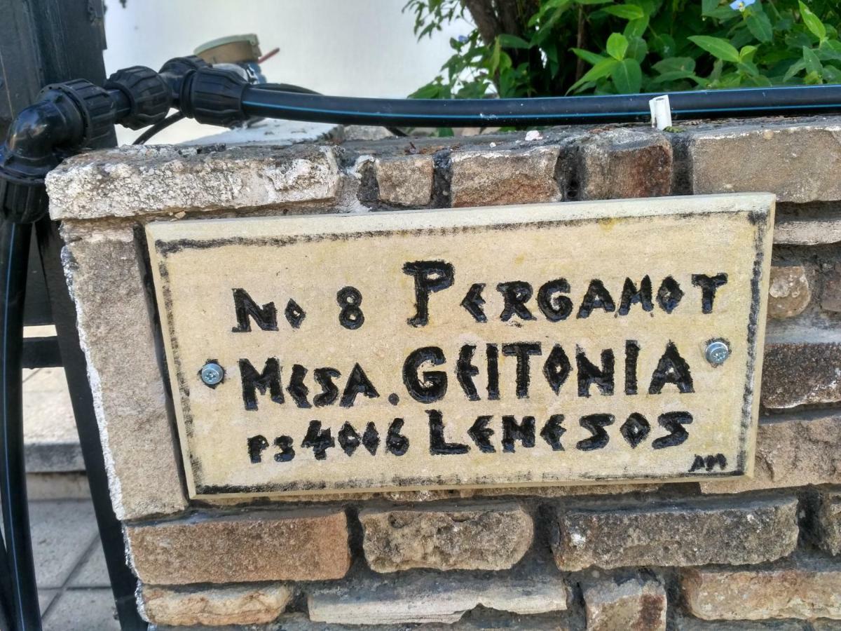Mystery Shack Hostel Limassol Zewnętrze zdjęcie